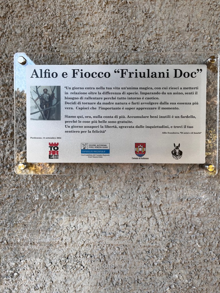 Alfio e Fiocco, friulani doc 